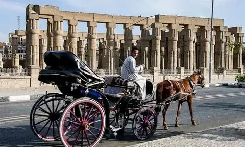 4-Day Dahabiya Nile Cruise from Aswan to Luxor (Private)