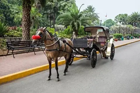 Luxor City Tour by Horse-Drawn Carriage