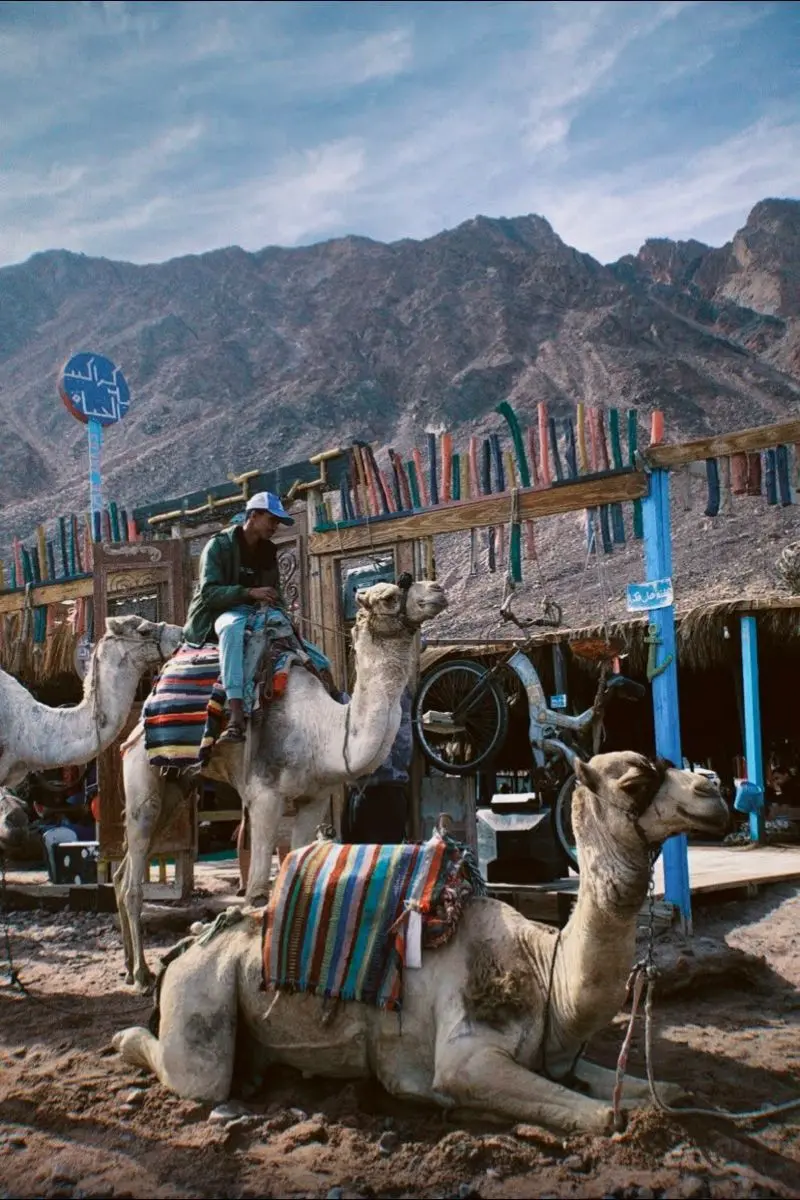 Dahab Destination Image
