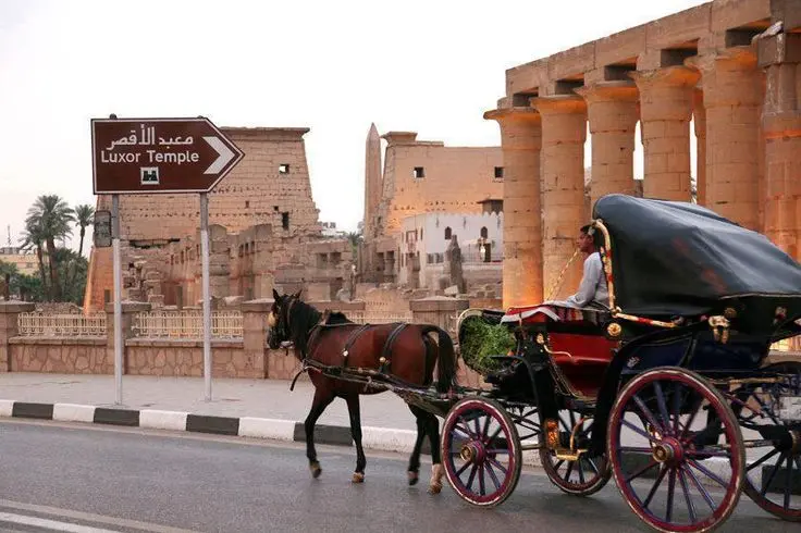 Luxor City Tour by Horse-Drawn Carriage